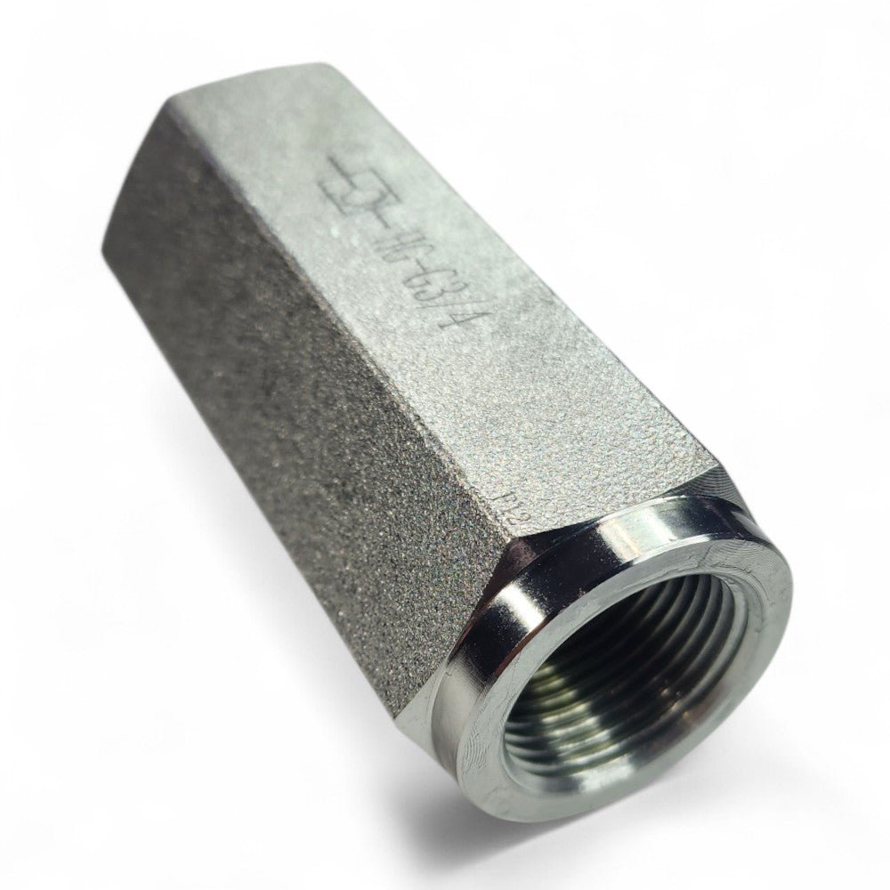 Inline Check Valve with 3/4" NPT Ports