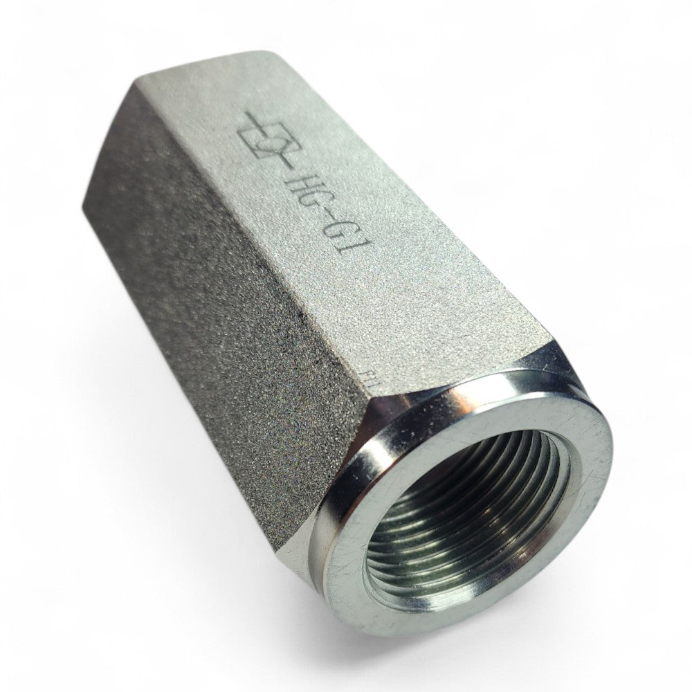 Inline Check Valve with 1" NPT Ports